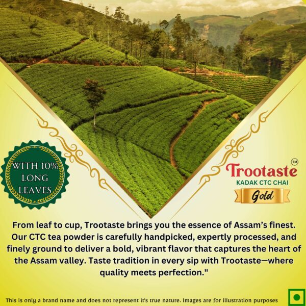 Gold Tea - Image 4