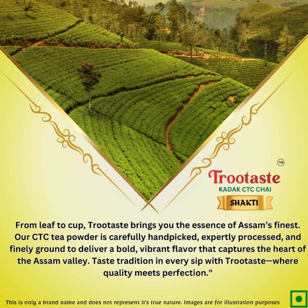 Shakti Tea - Image 2